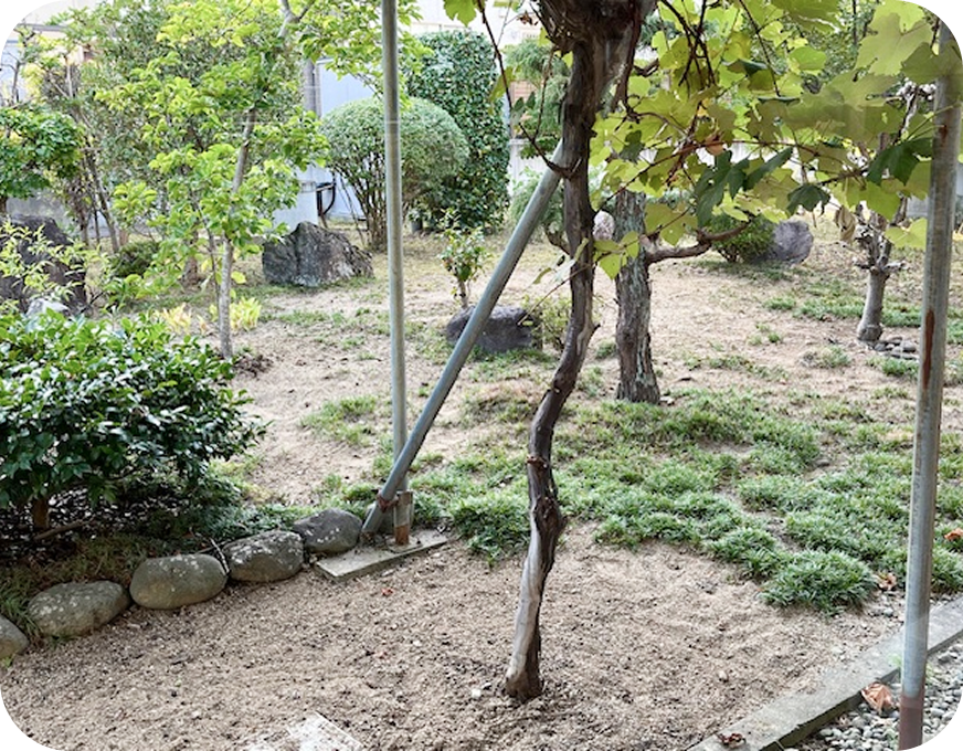 店舗の周辺写真